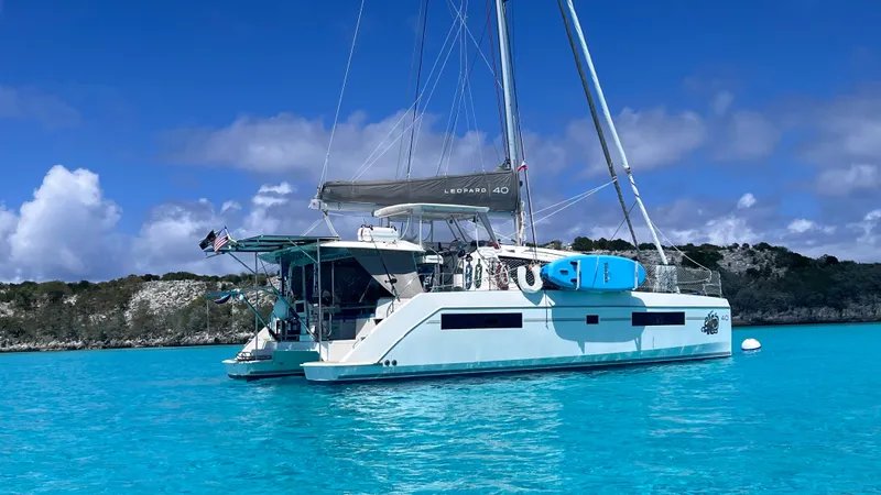 Slide: The Image of Leopard 40 2019 - 6