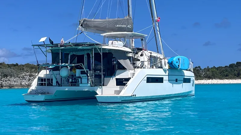 Slide: The Image of Leopard 40 2019 - 8