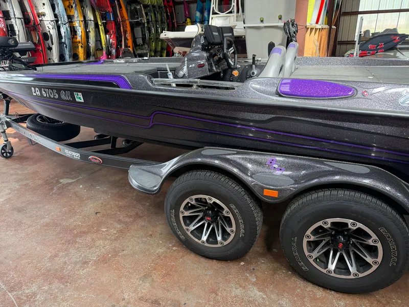 The Image of Bass Cat Eyra 2021 - 1