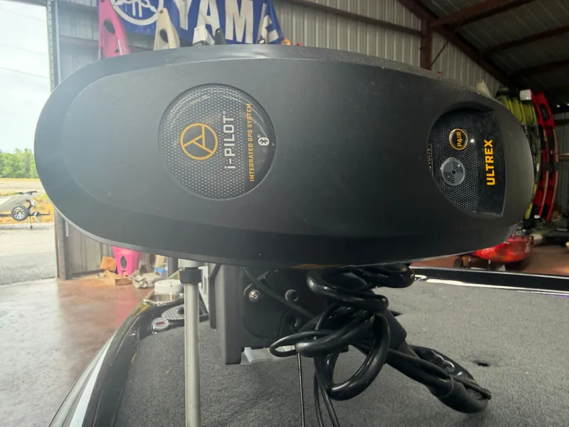 Slide: The Image of Bass Cat Eyra 2021 - 10