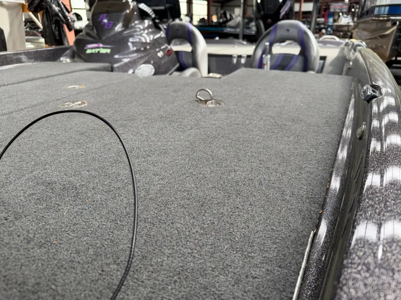 Slide: The Image of Bass Cat Eyra 2021 - 11