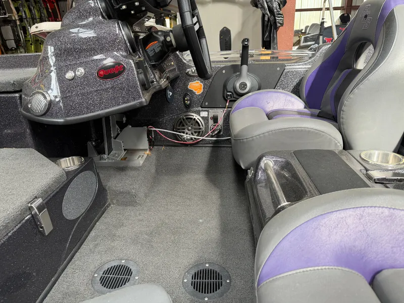 Slide: The Image of Bass Cat Eyra 2021 - 14