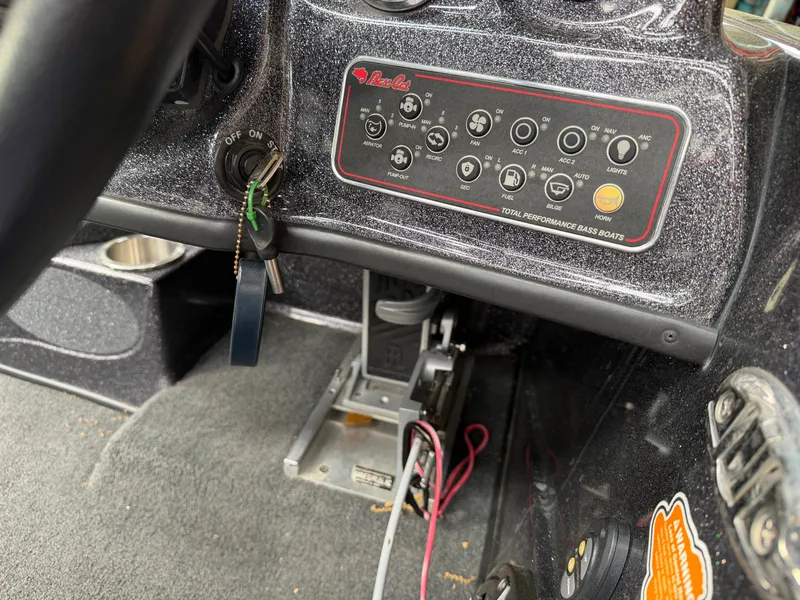 Slide: The Image of Bass Cat Eyra 2021 - 16