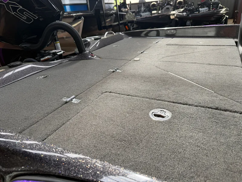 Slide: The Image of Bass Cat Eyra 2021 - 18