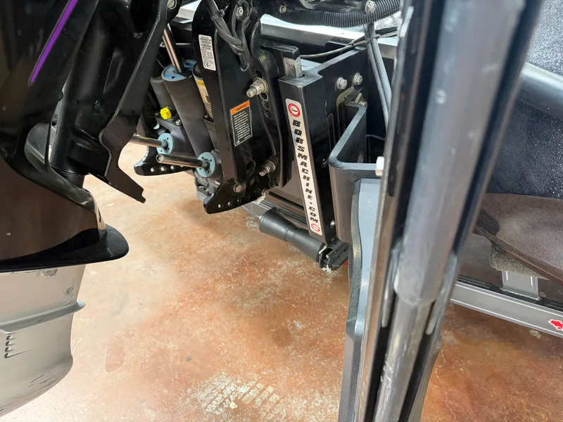 Slide: The Image of Bass Cat Eyra 2021 - 19