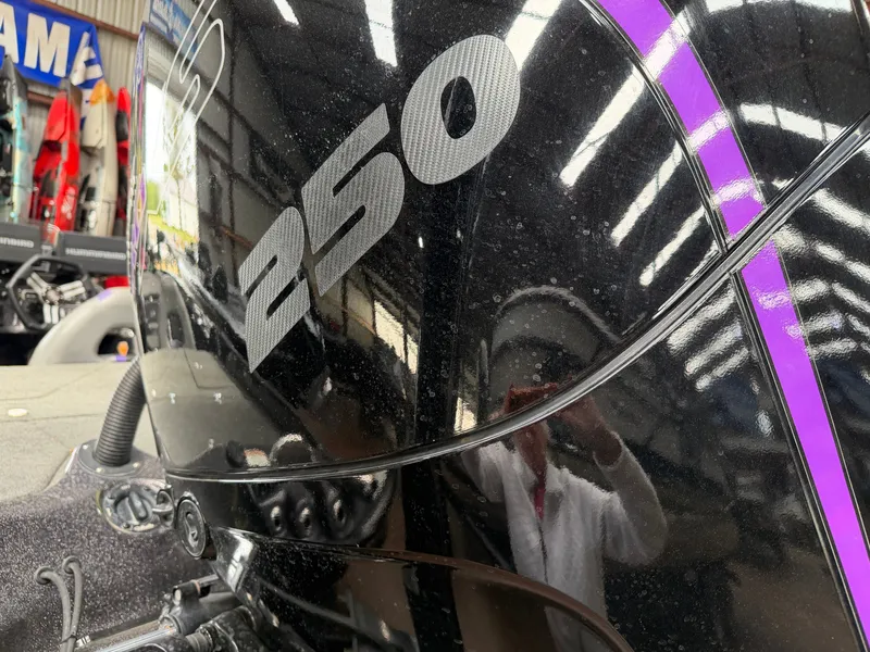 Slide: The Image of Bass Cat Eyra 2021 - 21