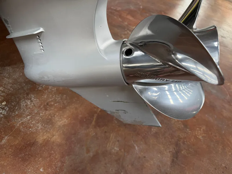 Slide: The Image of Bass Cat Eyra 2021 - 22