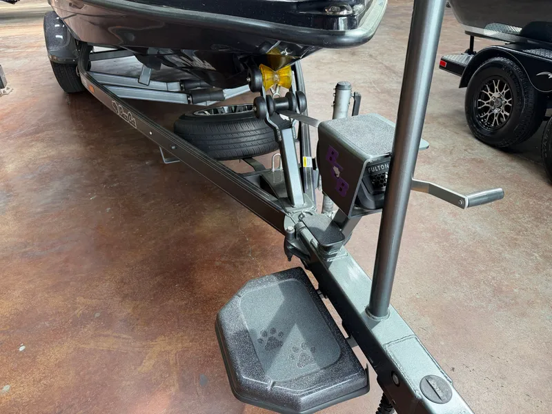 Slide: The Image of Bass Cat Eyra 2021 - 24