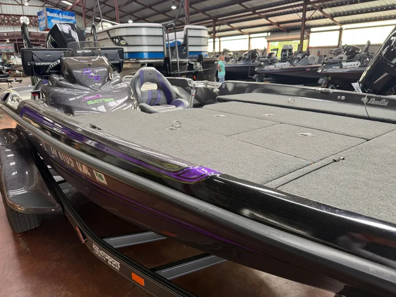 Slide: The Image of Bass Cat Eyra 2021 - 3