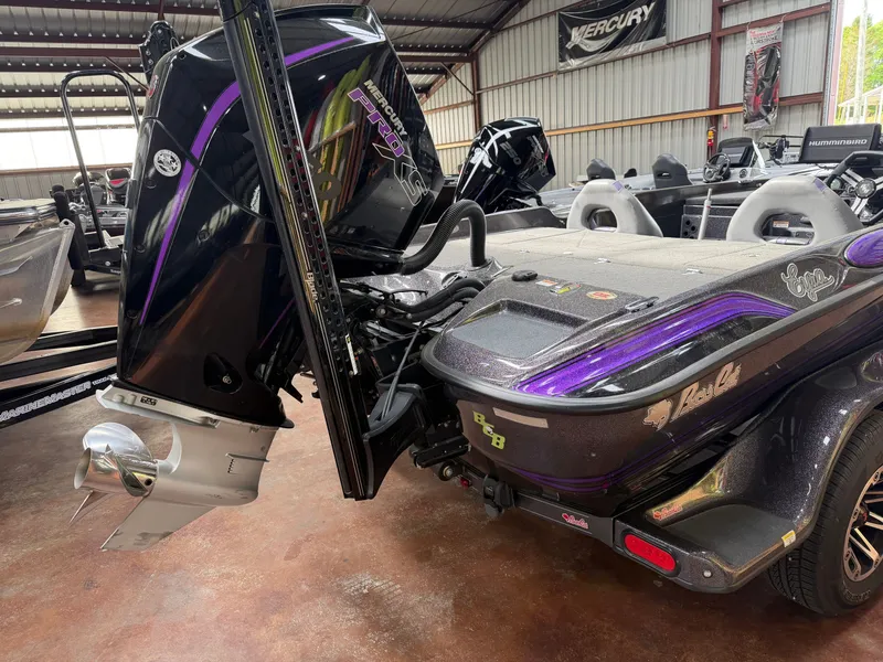 Slide: The Image of Bass Cat Eyra 2021 - 4