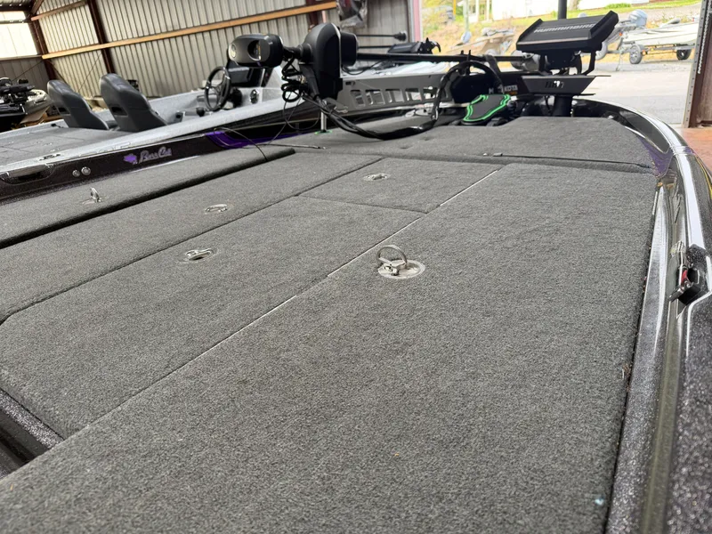 Slide: The Image of Bass Cat Eyra 2021 - 7