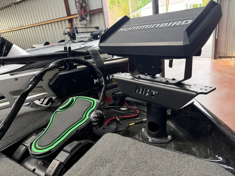 Slide: The Image of Bass Cat Eyra 2021 - 8