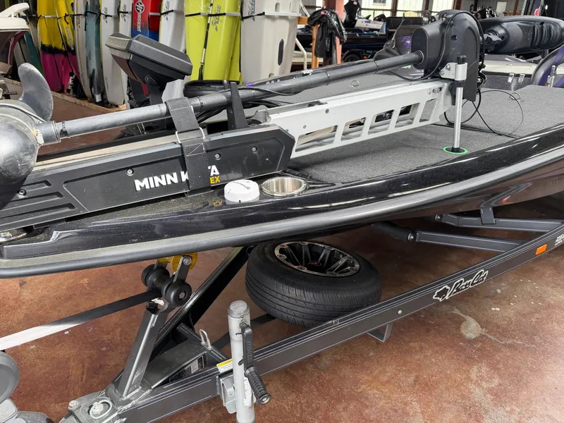 Slide: The Image of Bass Cat Eyra 2021 - 9