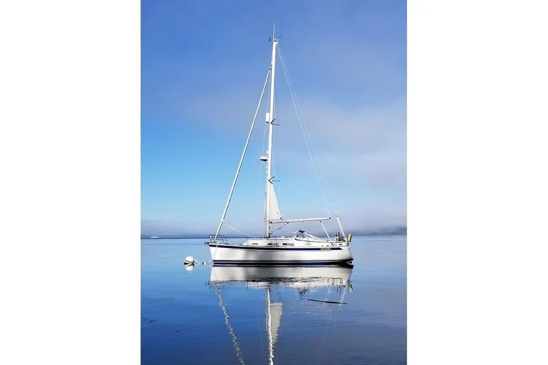 The Image of Hallberg-Rassy 310 2020 - 0
