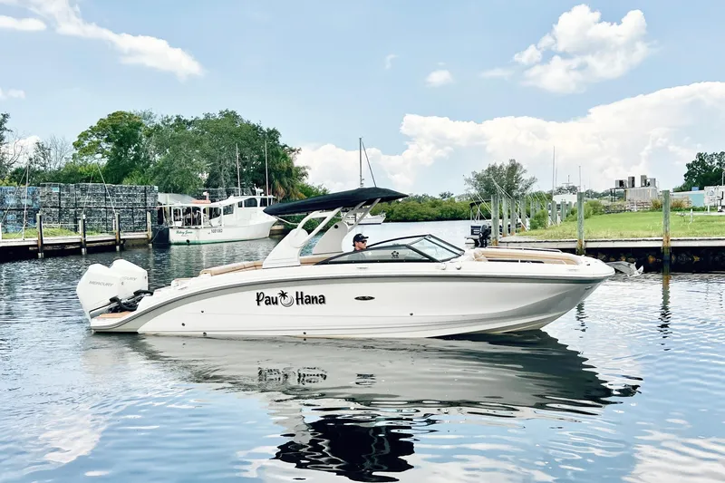 Slide: The Image of 2019 Sea Ray SDX 290 Outboard boat on calm water, clear sky background. - 7