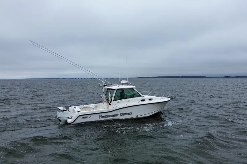 The Image of 2016 Boston Whaler 315 Conquest boat on open water under cloudy skies. - 1
