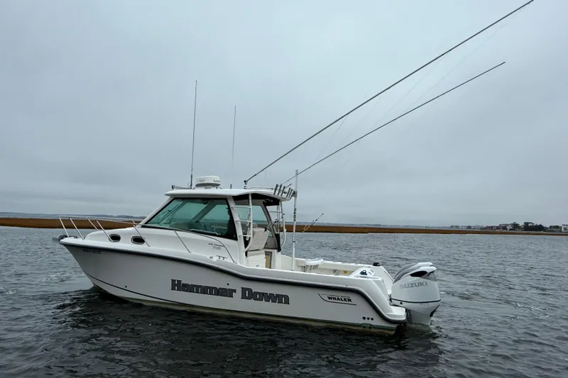 Slide: The Image of 2016 Boston Whaler 315 Conquest boat on water, overcast sky, fishing rods visible. - 6