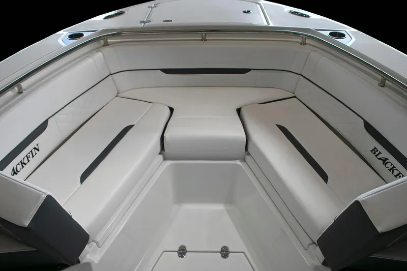 Slide: The Image of Blackfin 252 CC 2022 - 4