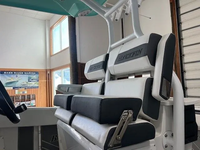 Slide: The Image of Blackfin 272 CC 2020 - 4