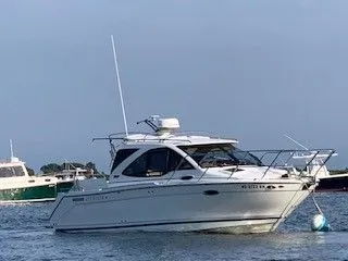 The Image of Cutwater C-24 2016 - 1