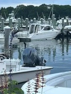 Slide: The Image of Cutwater C-24 2016 - 13