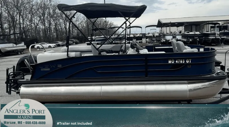 Slide: The Image of Lowe SF212 2024 - 17