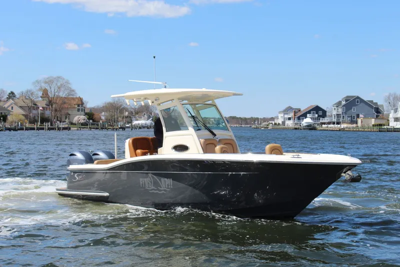 Slide: The Image of Scout 255 LXF 2018 - 3