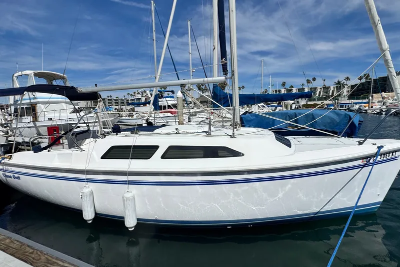 The Image of 2003 Catalina 250 sailboat docked at marina under clear blue sky. - 1