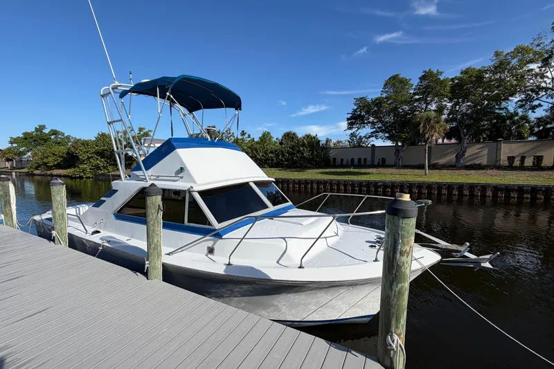 The Image of 1973 Chris-Craft 30 Tournament FB boat docked by a serene riverside under clear blue skies. - 0