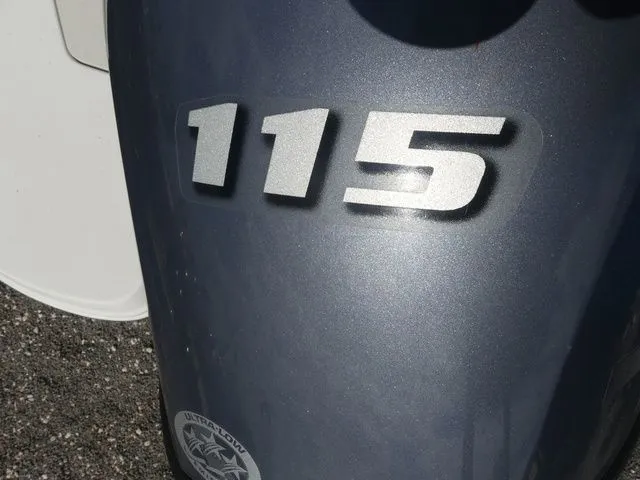 Slide: The Image of Stingray 201DC (OB) 2020 - 10