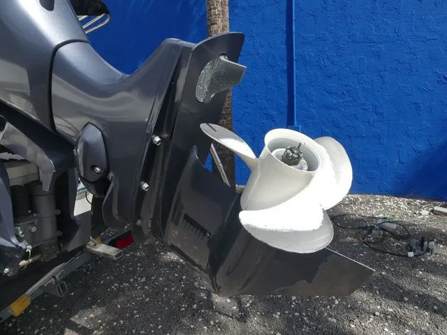 Slide: The Image of Stingray 201DC (OB) 2020 - 11