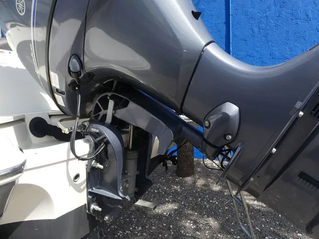 Slide: The Image of Stingray 201DC (OB) 2020 - 12