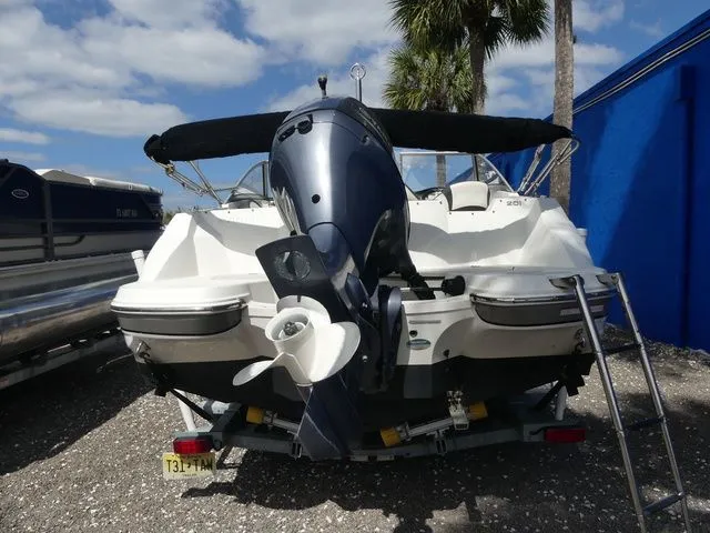 Slide: The Image of Stingray 201DC (OB) 2020 - 5