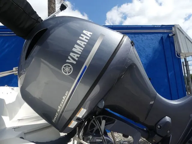 Slide: The Image of Stingray 201DC (OB) 2020 - 9