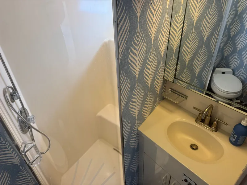 Slide: The Image of VIP Head - 57