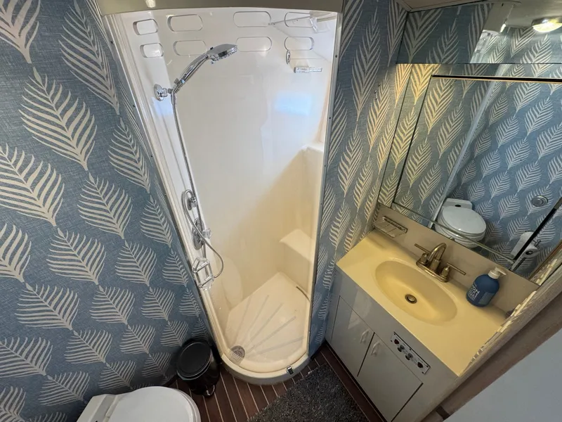 Slide: The Image of VIP Head - 58