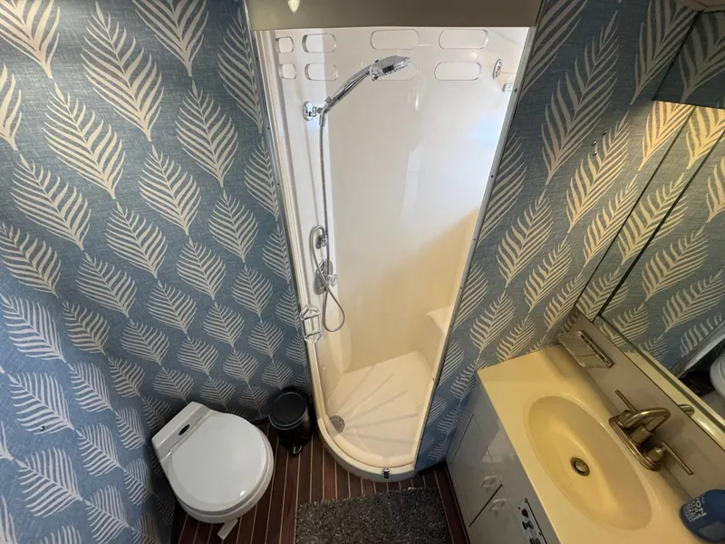 Slide: The Image of VIP Head - 59