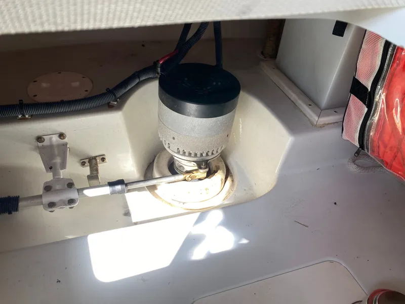 Slide: The Image of Duffy 22 2017 - 28