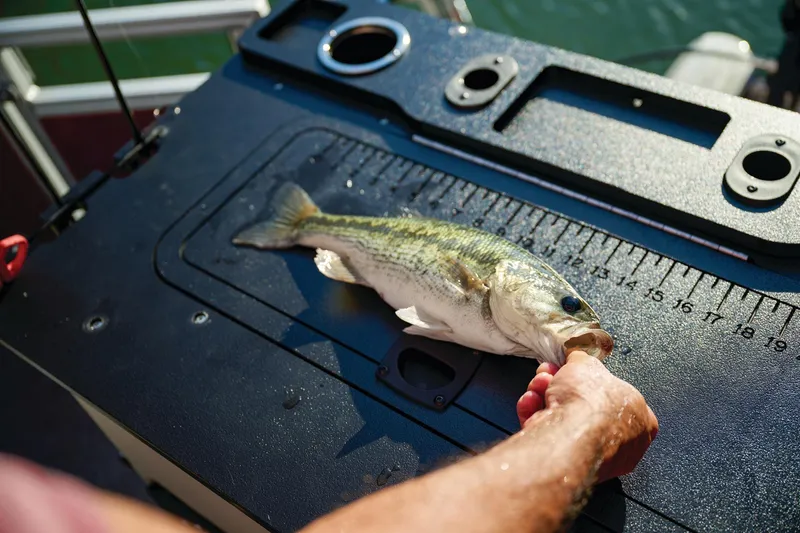 Slide: The Image of Sun Tracker Fishin' Barge 22 DLX 2026 - 77