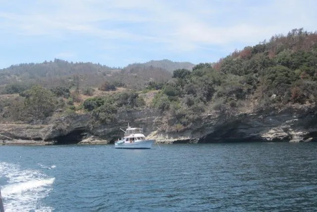 The Image of 1980 Hershine Trawler cruising near rocky coastline under clear skies. - 0