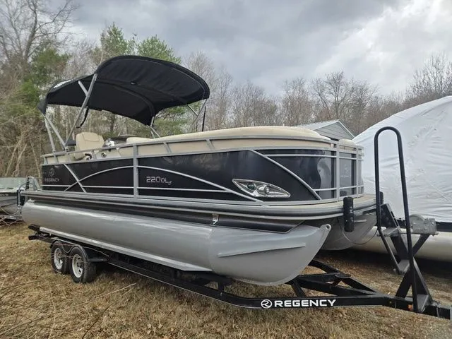 The Image of Regency 220 DL3 200 L Verado® Pro FourStroke (L4) 2016 - 1