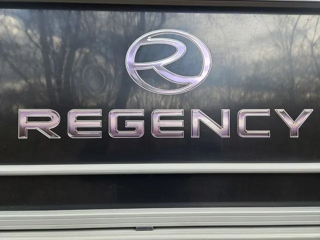 Slide: The Image of Regency 220 DL3 200 L Verado® Pro FourStroke (L4) 2016 - 3