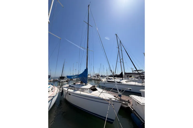The Image of 1999 Catalina 320 sailboat docked in a sunny marina, surrounded by other boats. - 1