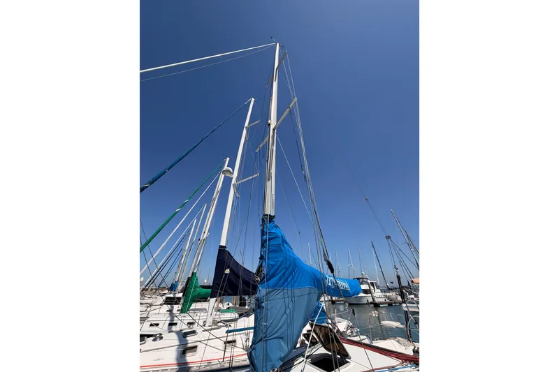 Slide: The Image of Sailboats docked at marina, featuring a 1999 Catalina 320 under clear blue sky. - 5
