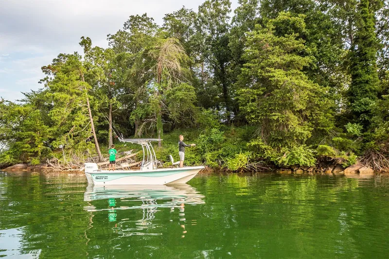 Slide: The Image of Carolina 19 LS 2026 - 8