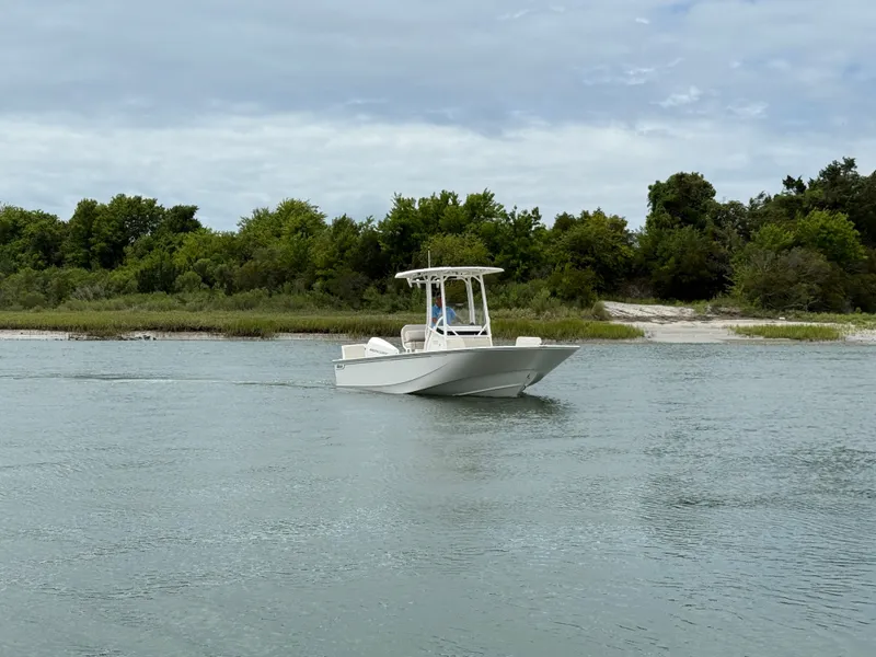 Slide: The Image of A 2026 Boston Whaler 210 Montauk cruising on calm waters near a wooded shoreline. - 5