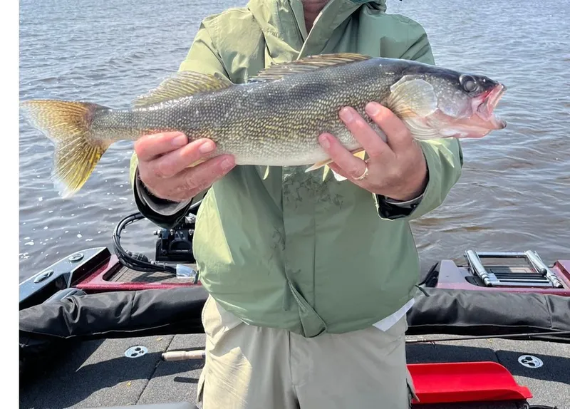 Slide: The Image of Nitro ZV20 2022 - 13