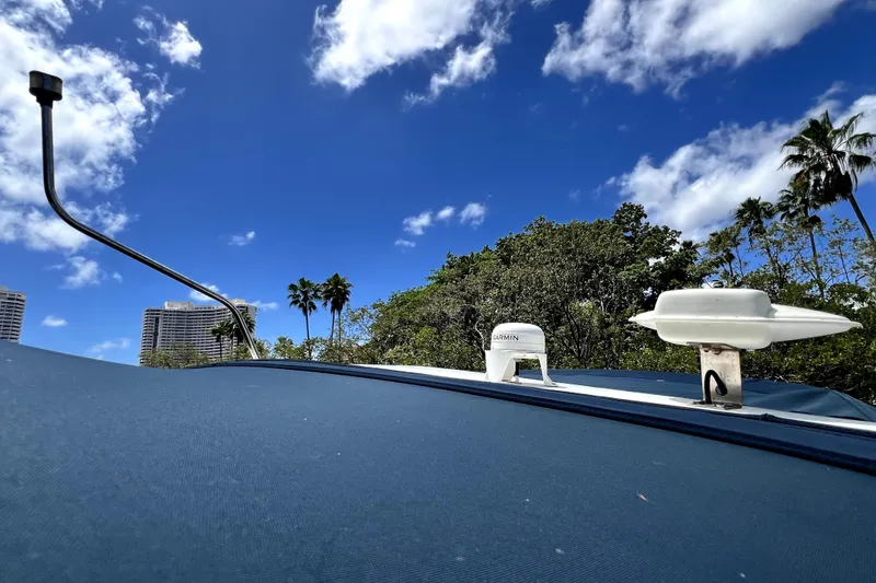 Slide: The Image of 1999 Cruisers Yachts 3870 Esprit with blue canopy under clear sky and palm trees. - 51