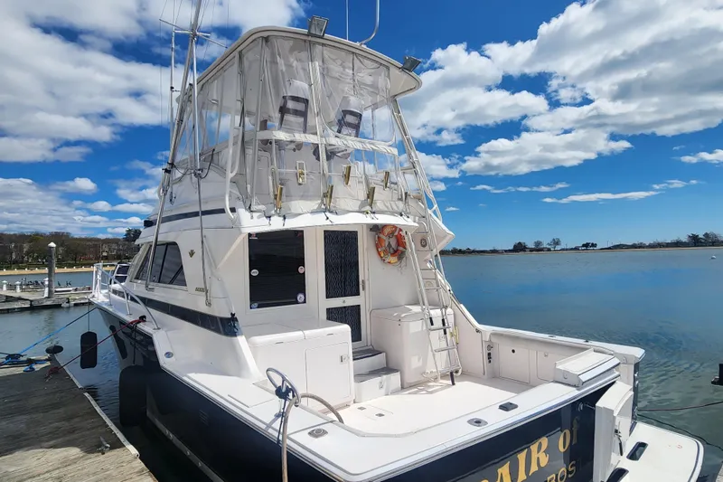 The Image of 1995 Bertram 43 Convertible yacht on calm blue water under clear sky. - 0