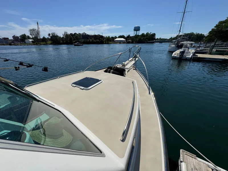 Slide: The Image of Northern Bay 36 2009 - 74